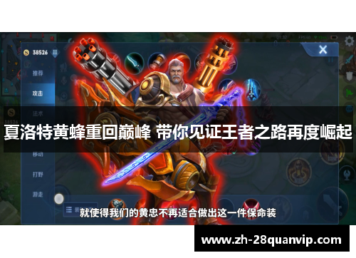 夏洛特黄蜂重回巅峰 带你见证王者之路再度崛起 夏洛特黄蜂重回巅峰 带你见证王者之路再度崛起