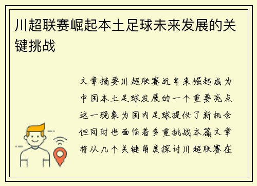 川超联赛崛起本土足球未来发展的关键挑战