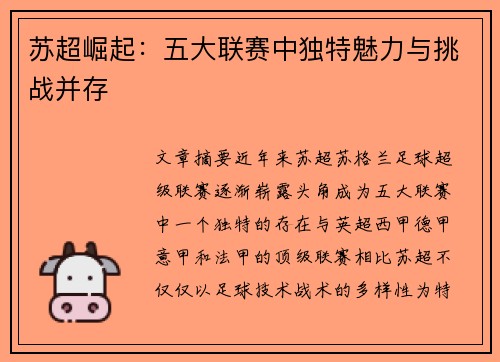 苏超崛起：五大联赛中独特魅力与挑战并存